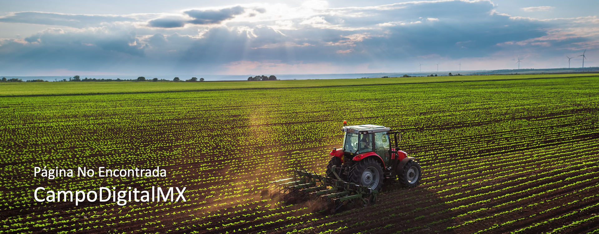 ohh! página no encontrada